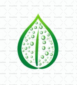 Tautropfen auf einem Blatt